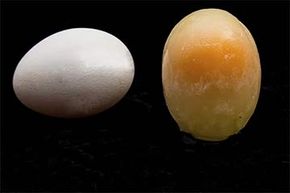 You can freeze eggs — but not whole in their shells. You'll need to crack them, and separate the yolks and whites.