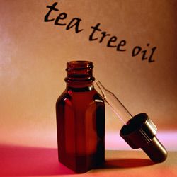The benefits of tea tree oil are overwhelming.