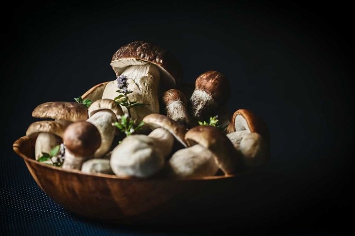 10 Amazing Health Benefits of Mushrooms
